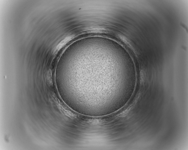 X0000100900970200807011216
