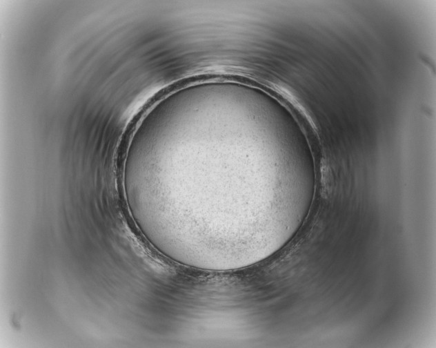 X0000100900972200807011216