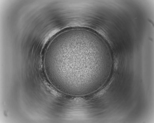 X0000100900974200807011216