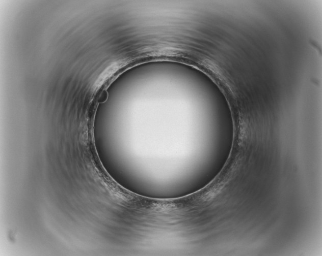 X0000100900978200807011216