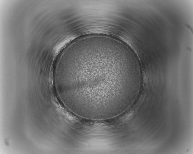 X0000100900979200807011216