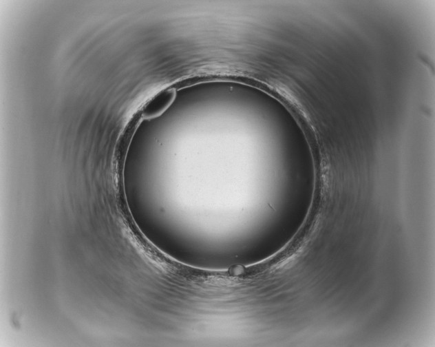 X0000100900981200807011216