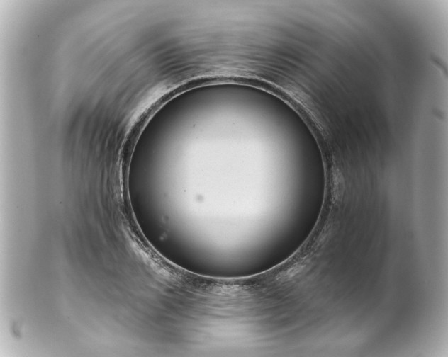 X0000100900982200807011216