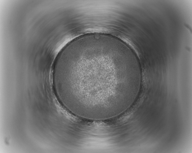 X0000100900983200807011216