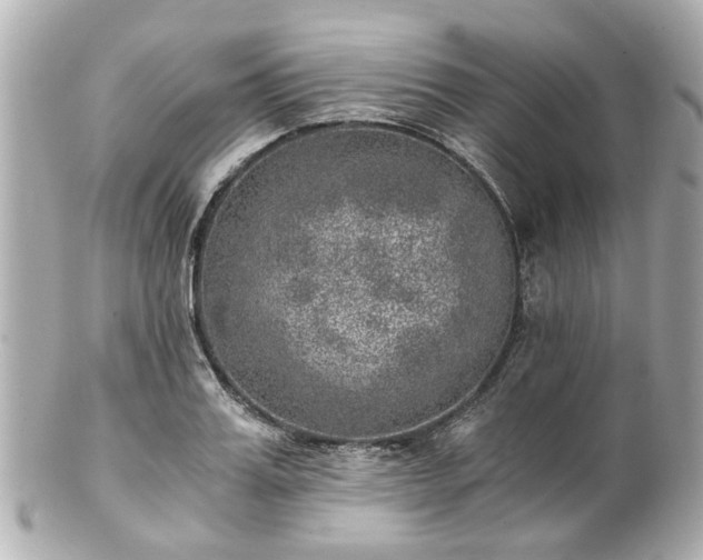 X0000100900987200807011216