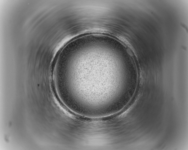 X0000100900989200807011216