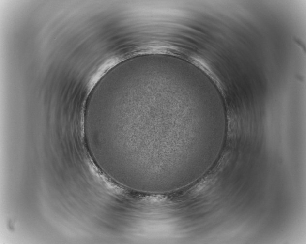 X0000100900994200807011216