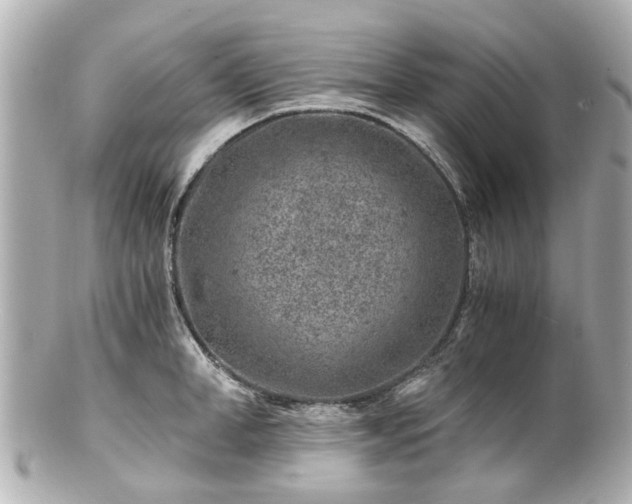 X0000100900998200807011216