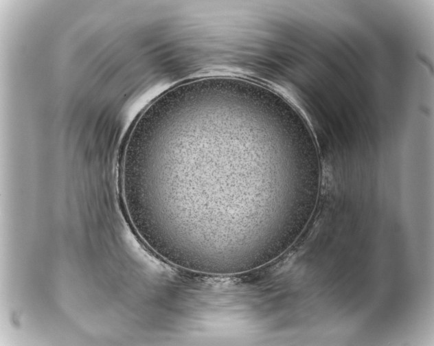 X0000100901003200807011216