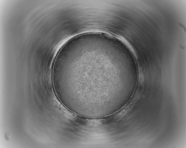 X0000100901004200807011216
