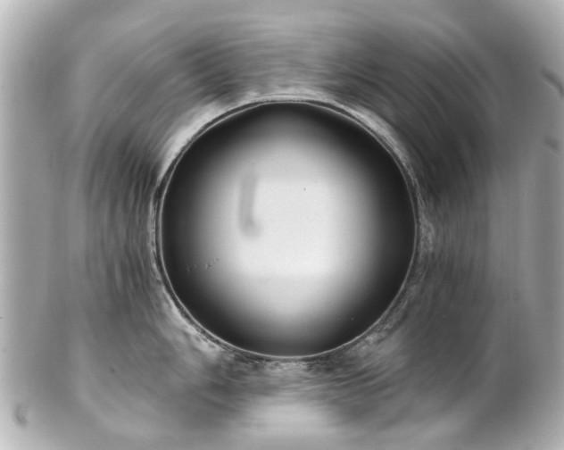 X0000100901006200807011216