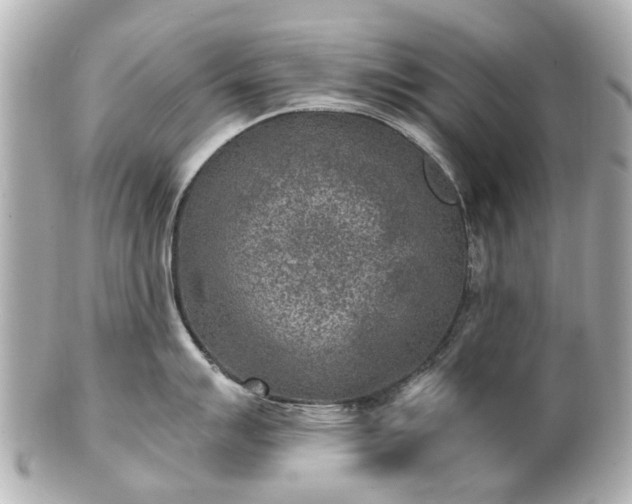 X0000100901007200807011216