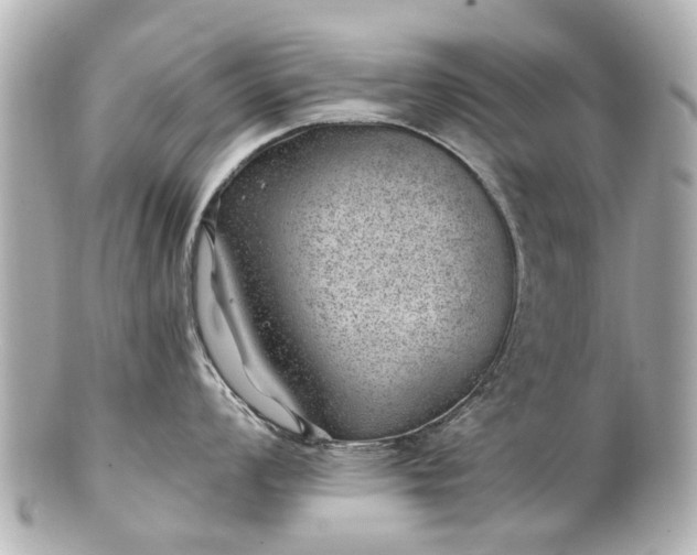 X0000100901008200807011216