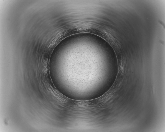 X0000100901012200807011215
