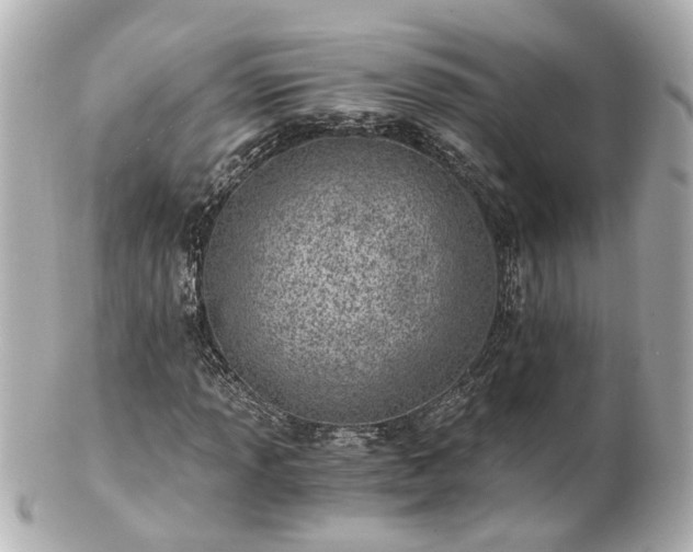 X0000100901013200807011215