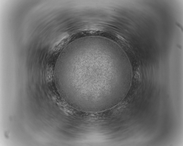 X0000100901014200807011215