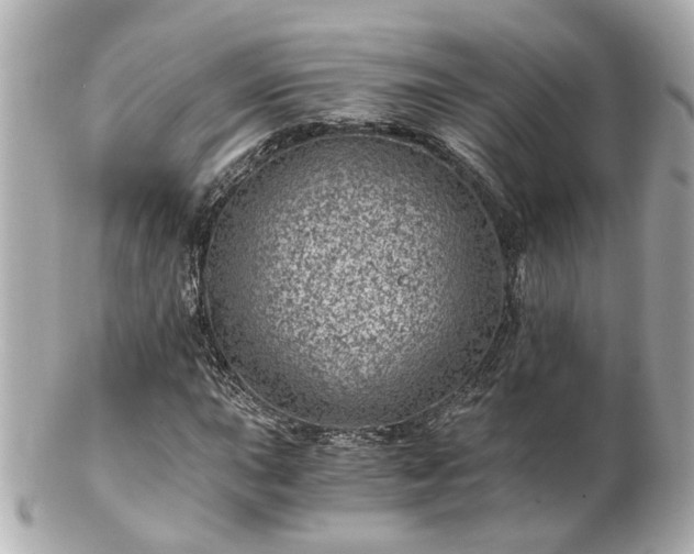 X0000100901015200807011215