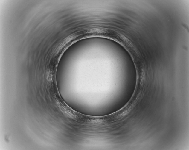 X0000100901017200807011215