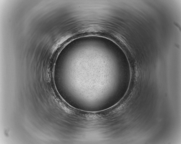 X0000100901018200807011215