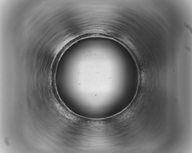 X0000100901020200807011215