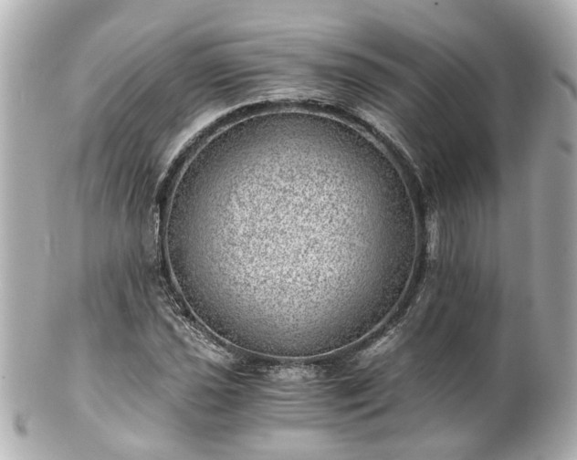 X0000100901021200807011215