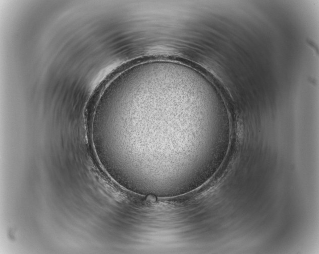 X0000100901022200807011215