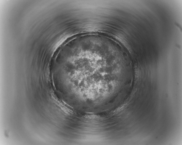 X0000100901023200807011215