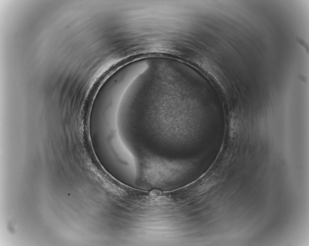 X0000100901024200807011215