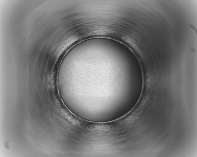 X0000100901026200807011215