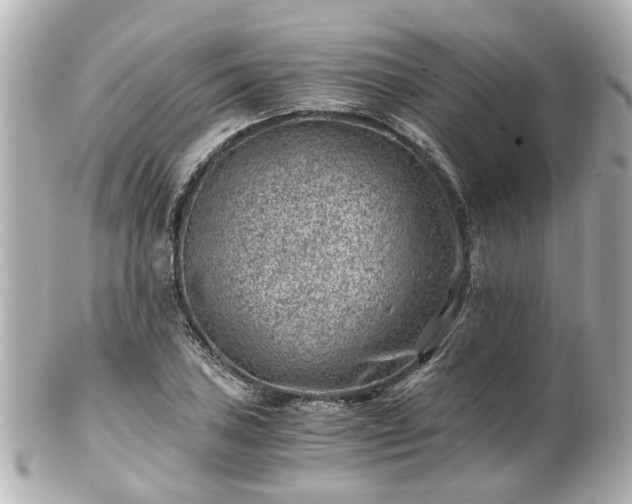 X0000100901027200807011215