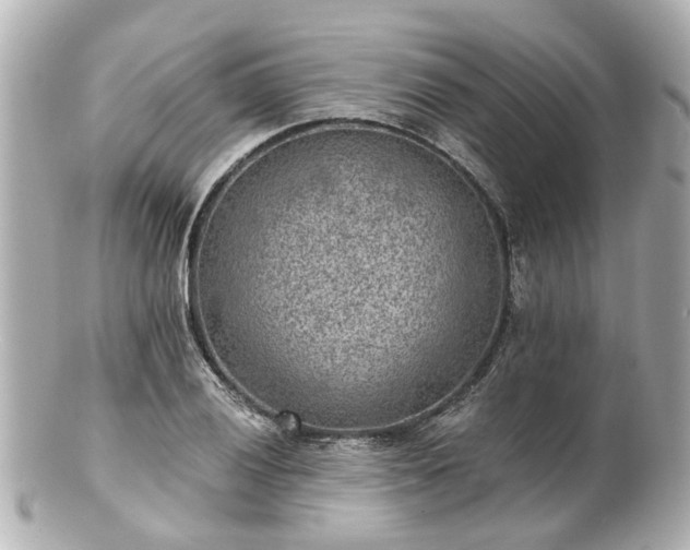 X0000100901028200807011215