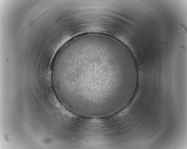 X0000100901029200807011215