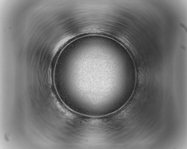 X0000100901030200807011215