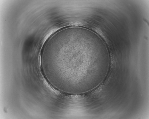 X0000100901032200807011216