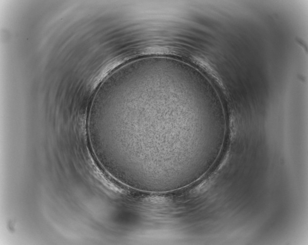 X0000100901033200807011216