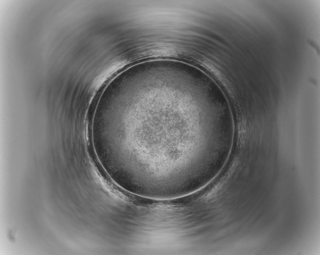 X0000100901034200807011216