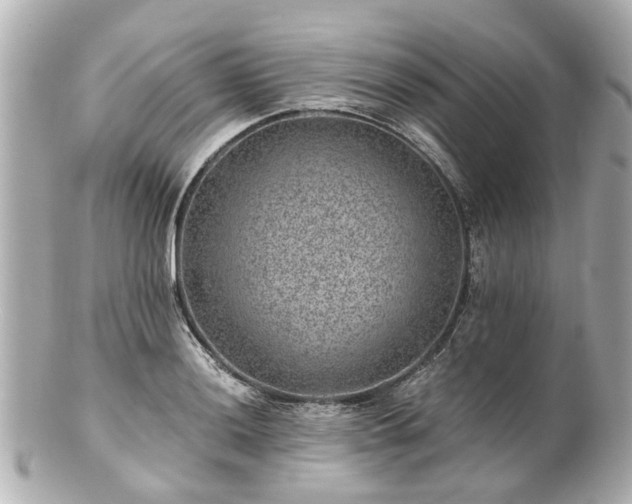X0000100901036200807011216