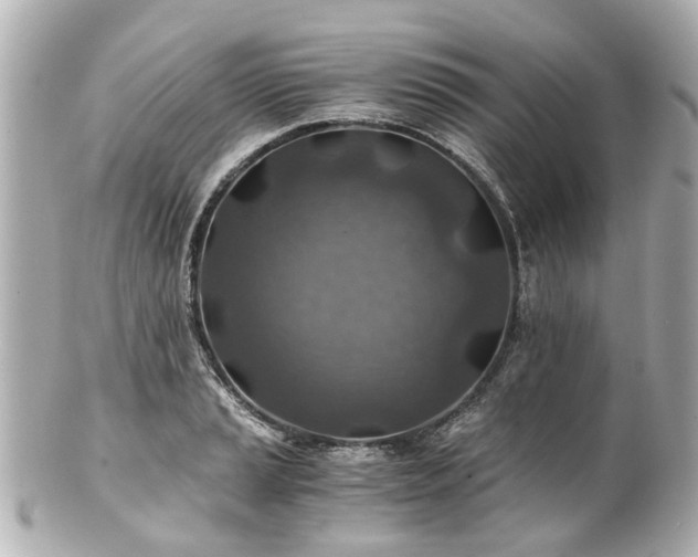 X0000100901037200807011216