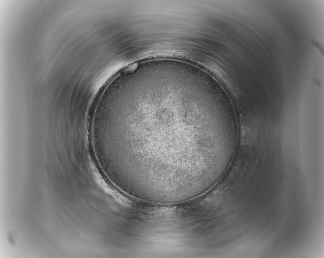 X0000100901038200807011216