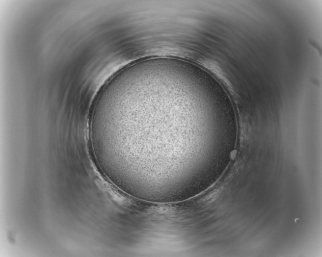 X0000100901040200807011216