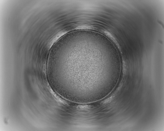 X0000100901041200807011216