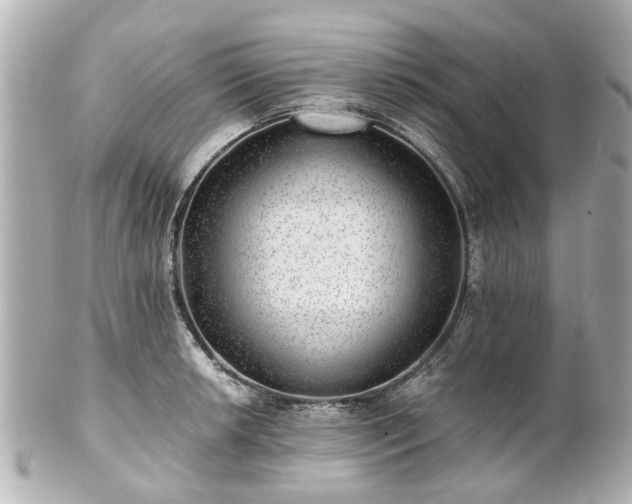 X0000100901042200807011216