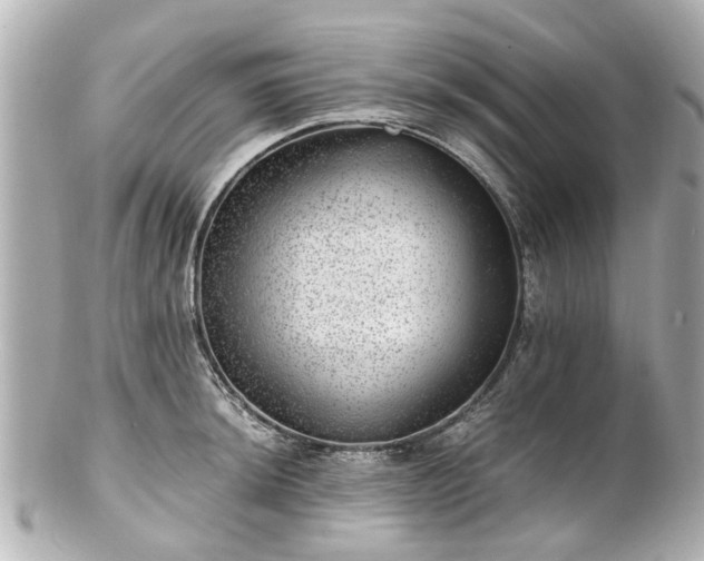 X0000100901044200807011216