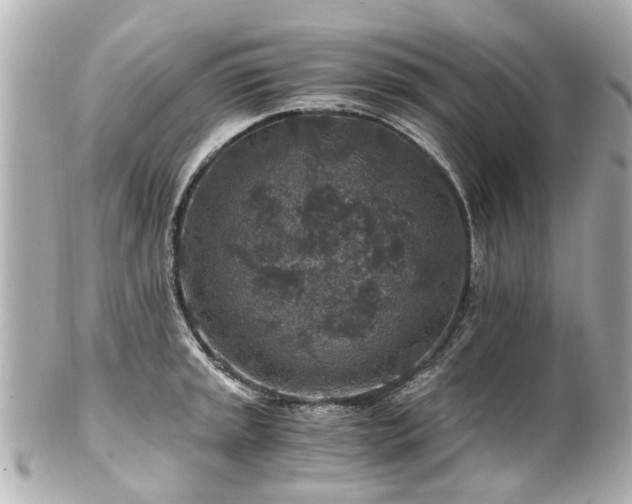 X0000100901045200807011216