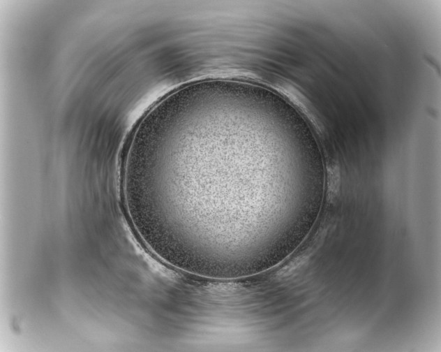 X0000100901046200807011216