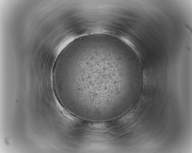 X0000100901047200807011216