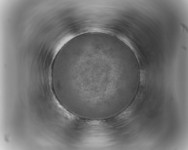 X0000100901048200807011216