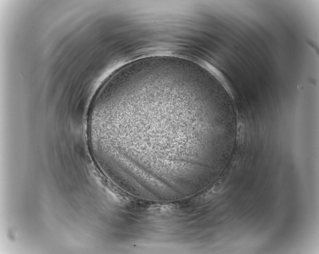 X0000100901051200807011216
