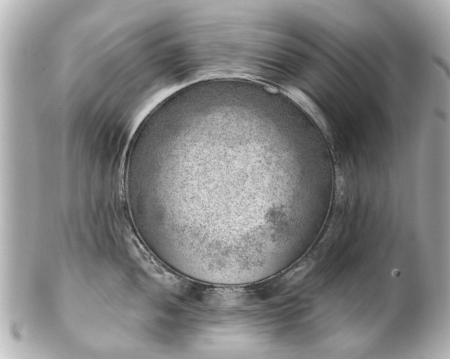 X0000100901052200807011216