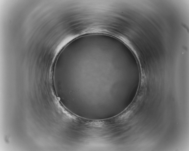 X0000100901053200807011216